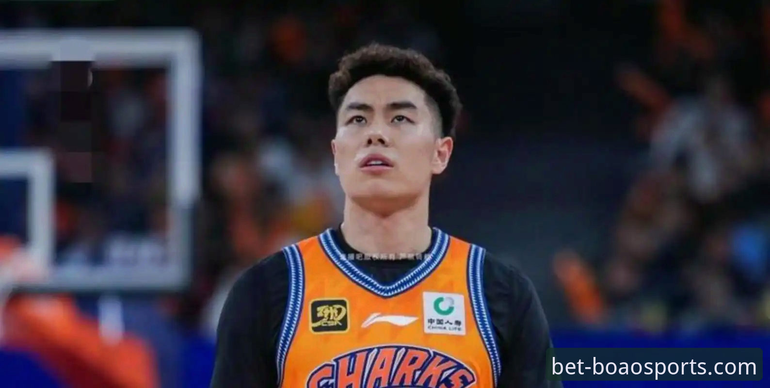 上海男篮豪取12连胜登顶CBA：一场流畅的团队胜利深度解析